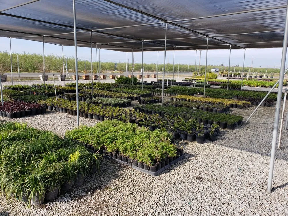 Custom yard cleanup service for beautiful yards across Fresno, CA - Riverside Nursery and Landscape Supplies