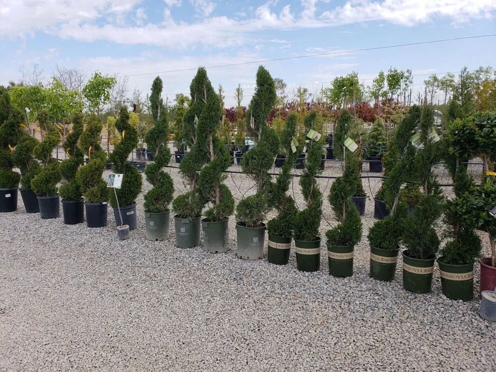 Expert yard maintenance in Fresno, CA - Riverside Nursery and Landscape Supplies