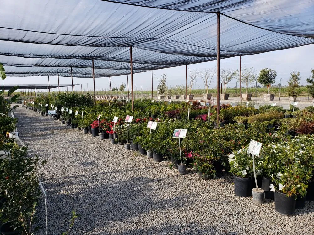 Affordable landscaping services experts serving Fresno, CA - Riverside Nursery and Landscape Supplies