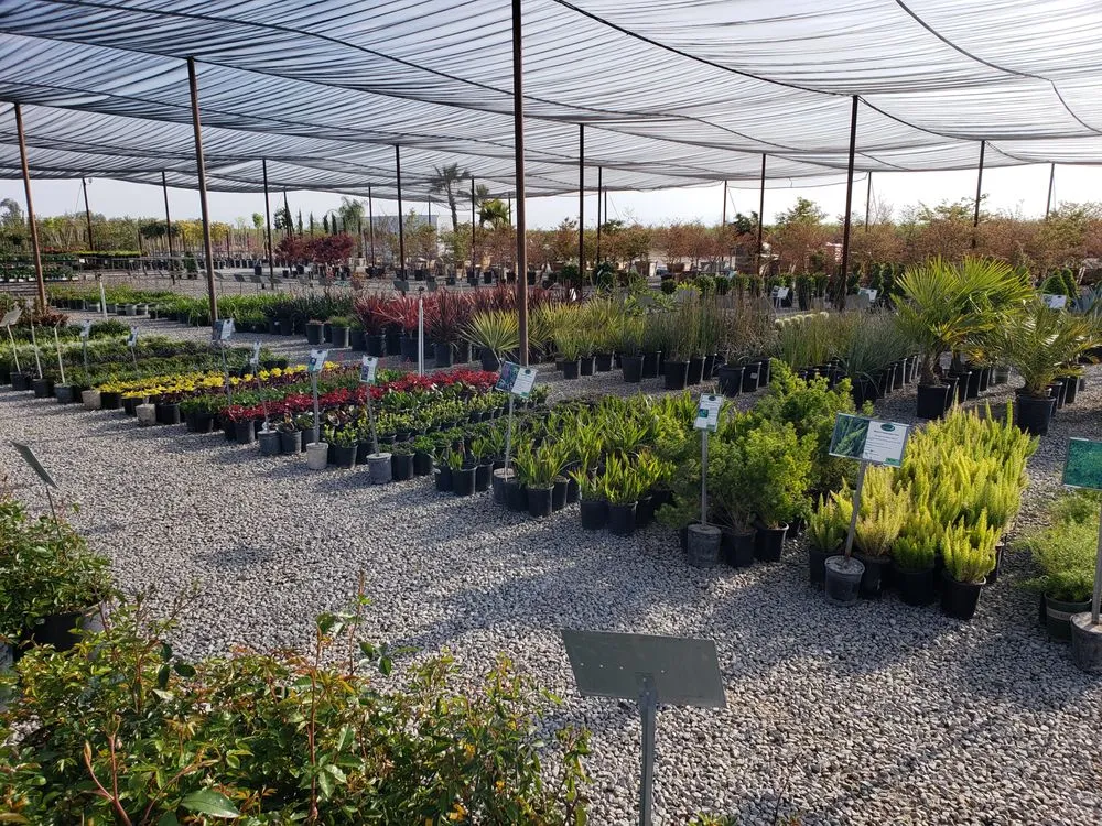 Local lawn care service for year-round maintenance across Fresno, CA - Riverside Nursery and Landscape Supplies