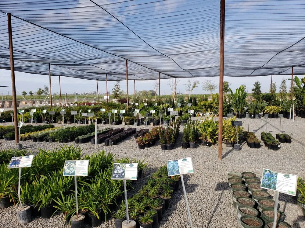 Custom landscape design with custom design across Fresno, CA - Riverside Nursery and Landscape Supplies