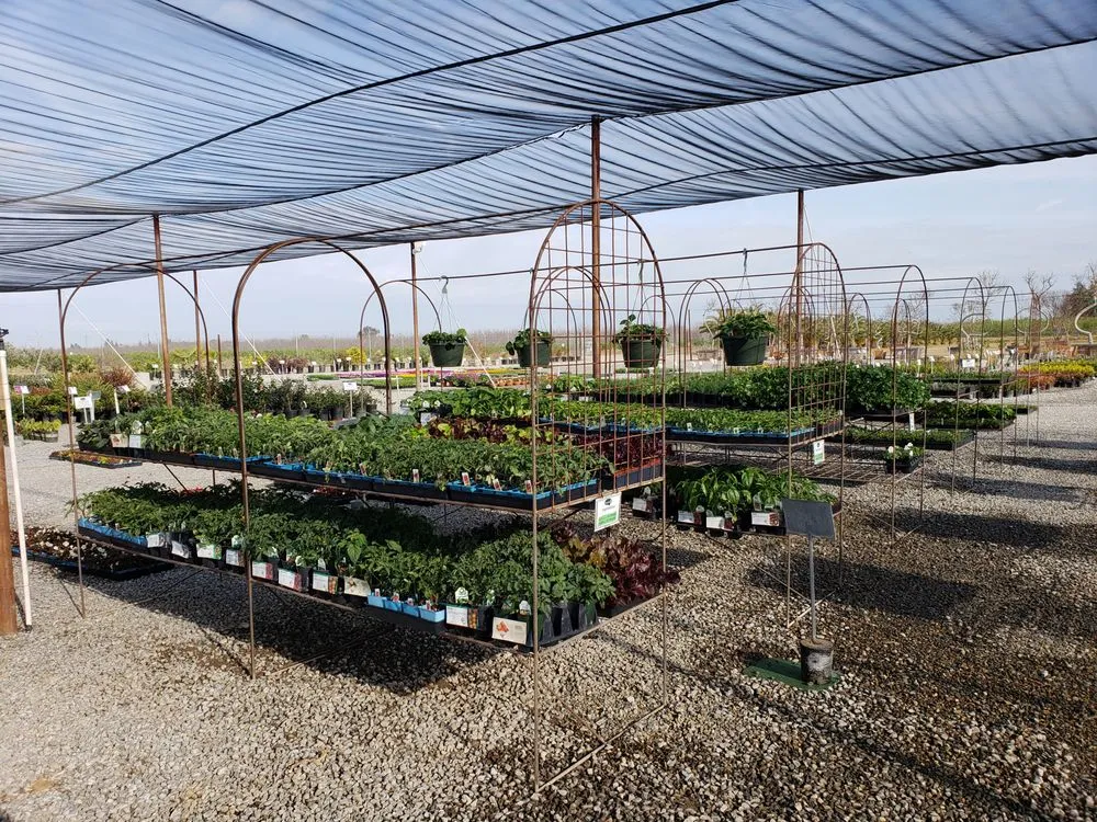 Local landscape design in Fresno, CA - Riverside Nursery and Landscape Supplies