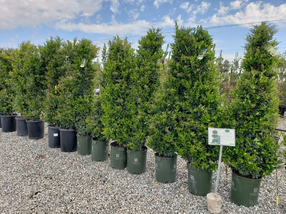 Local landscape installation in Fresno, CA - Riverside Nursery and Landscape Supplies