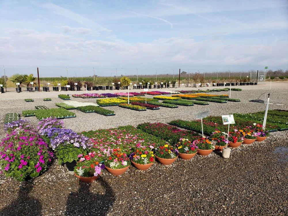 Custom landscape installation in Fresno, CA - Riverside Nursery and Landscape Supplies