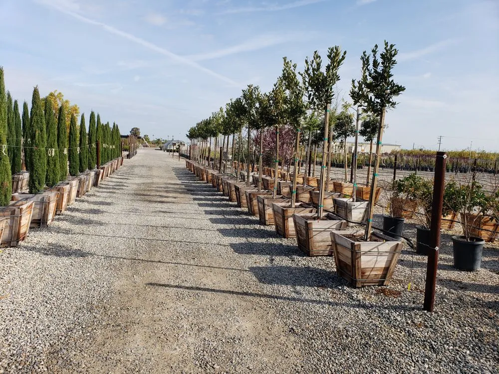 Custom garden landscaping in Fresno, CA - Riverside Nursery and Landscape Supplies