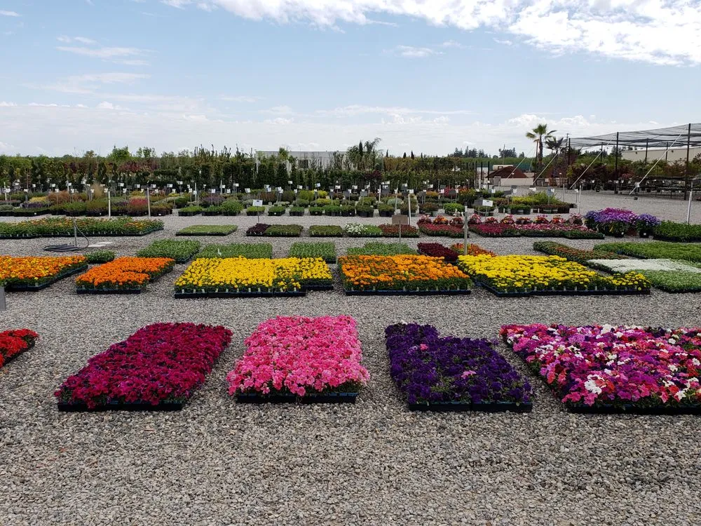 Custom landscape design for outdoor upgrades across Fresno, CA - Riverside Nursery and Landscape Supplies