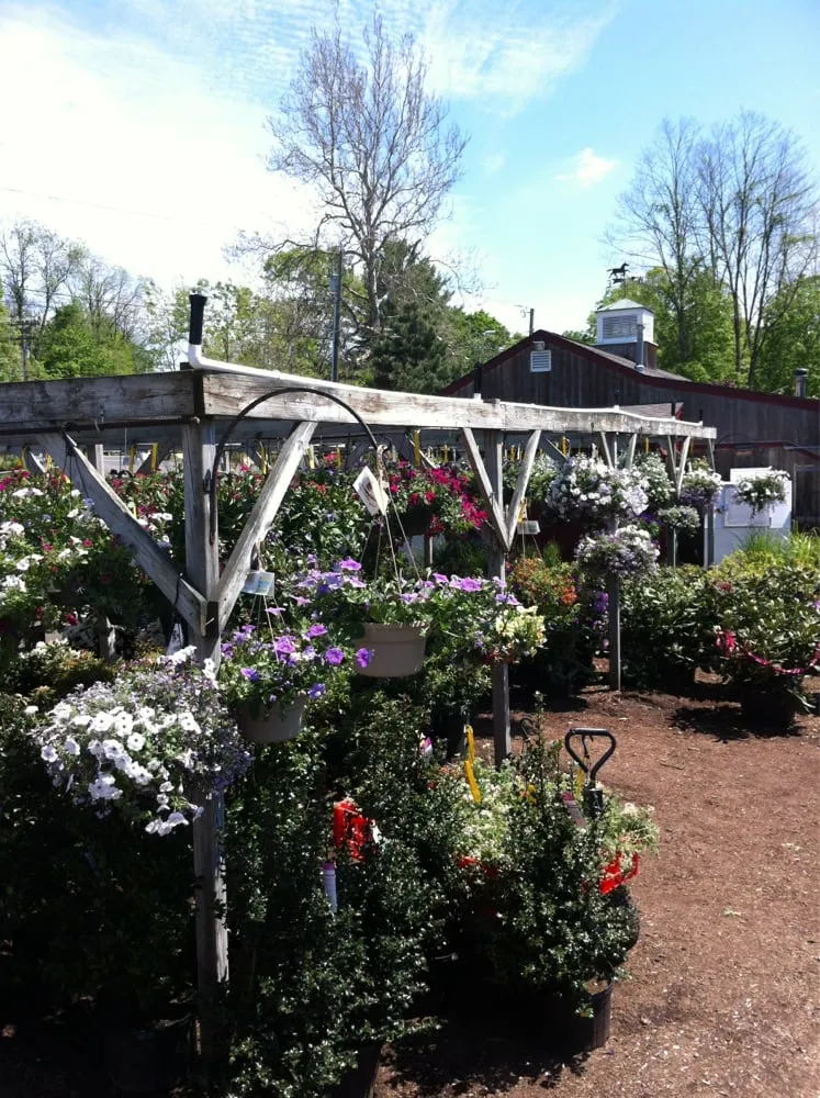 Top-rated residential landscaping experts serving Collinsville, CT - Riverside Nursery Garden Center & Florist