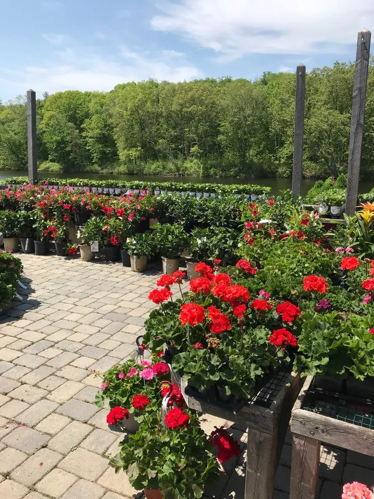 Trusted yard cleanup service experts serving Collinsville, CT - Riverside Nursery Garden Center & Florist