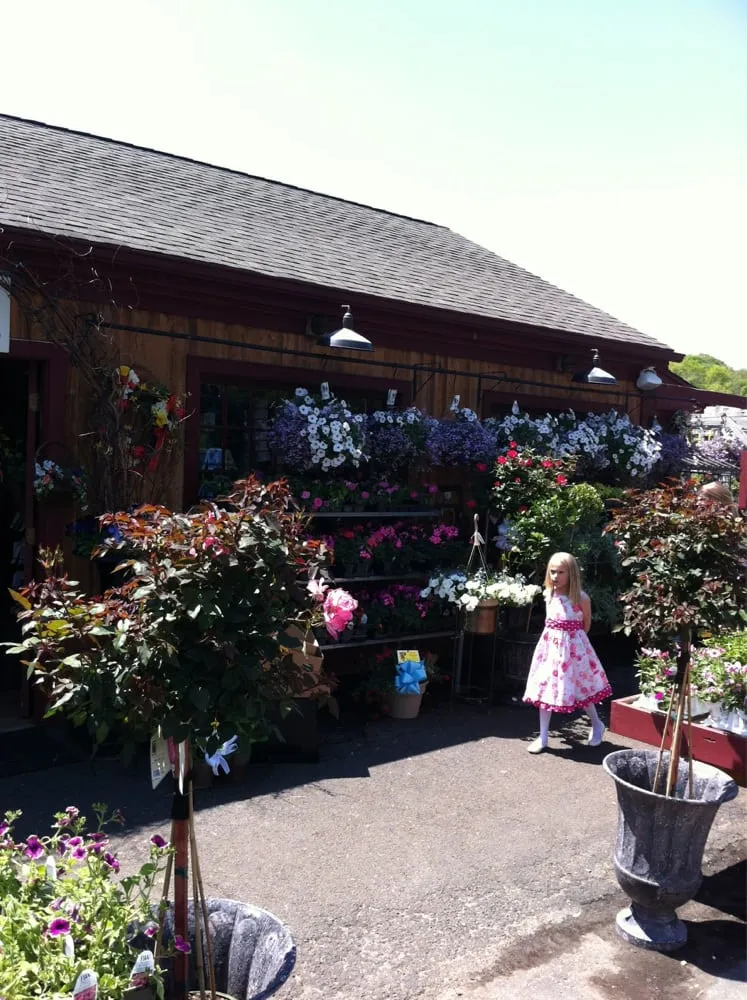 Expert residential landscaping experts serving Collinsville, CT - Riverside Nursery Garden Center & Florist