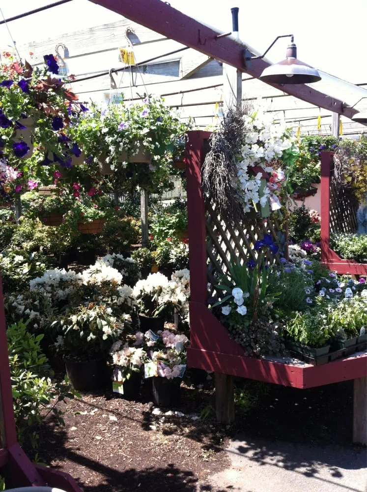 Reliable lawn mowing service in Collinsville, CT - Riverside Nursery Garden Center & Florist