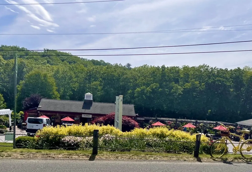 Reliable garden landscaping experts serving Collinsville, CT - Riverside Nursery Garden Center & Florist