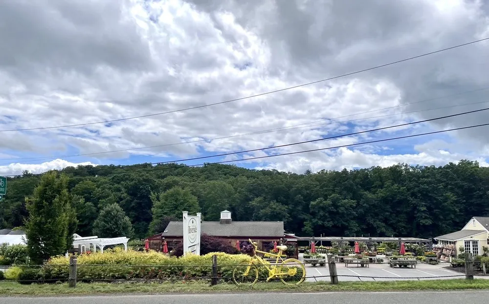 Top-rated yard maintenance in Collinsville, CT by Riverside Nursery Garden Center & Florist