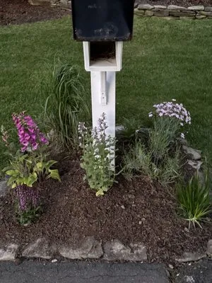 Riverside Nursery Garden Center & Florist