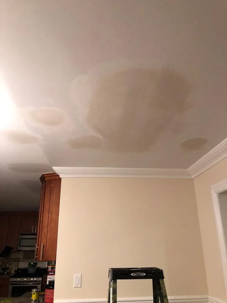 Custom landscaping services in North Bergen, NJ by Riverside Painting 1