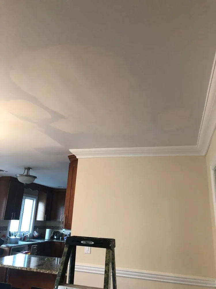 Professional yard cleanup service for homes across North Bergen, NJ - Riverside Painting 1