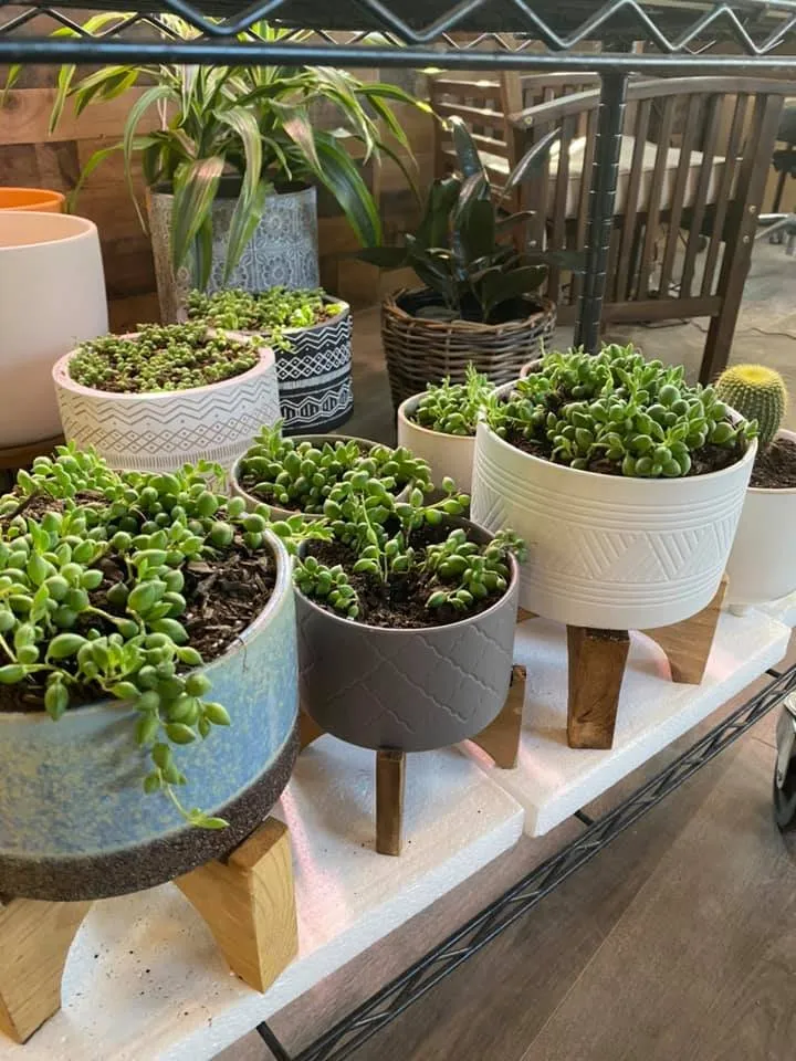 Custom outdoor landscaping experts serving Coolidge, AZ - Riverside Rock and Boulder