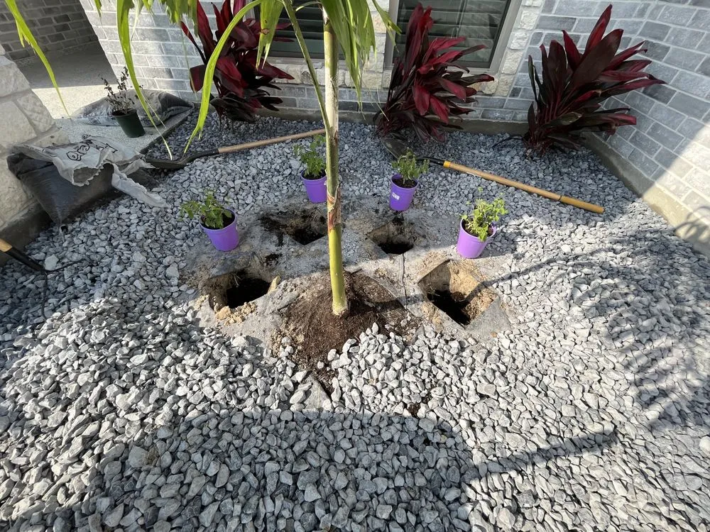 Expert yard cleanup service for year-round maintenance in Corpus Christi, TX by Riverstone Landscaping