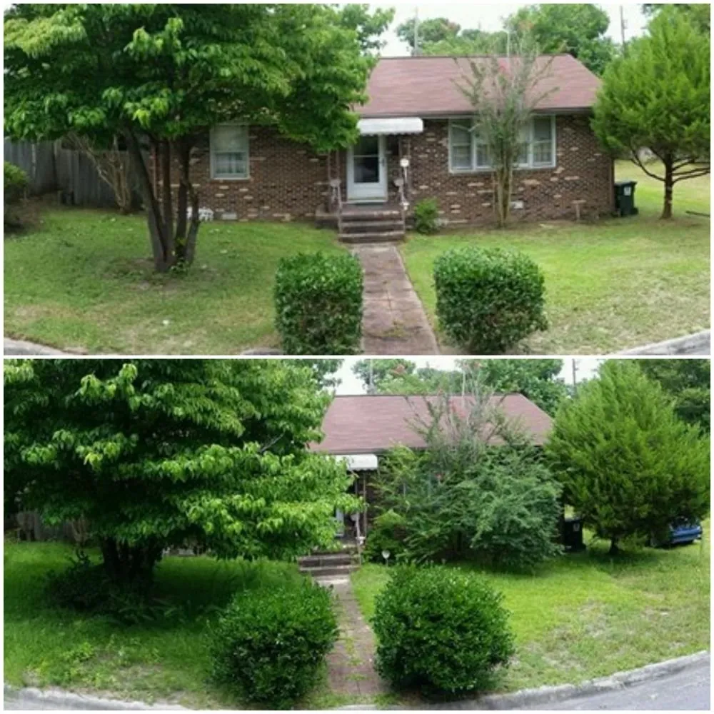 Affordable yard maintenance for beautiful yards in New Bern, NC by Rivertide Yard Pro