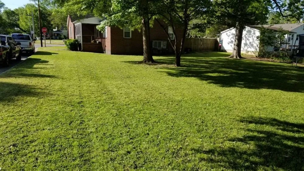 Trusted landscaping services experts serving New Bern, NC - Rivertide Yard Pro