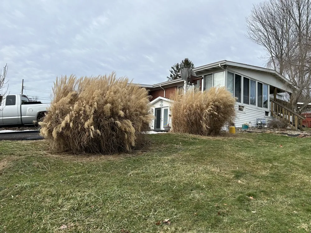 Affordable lawn mowing service experts serving Ambridge, PA - Rivertown LCS