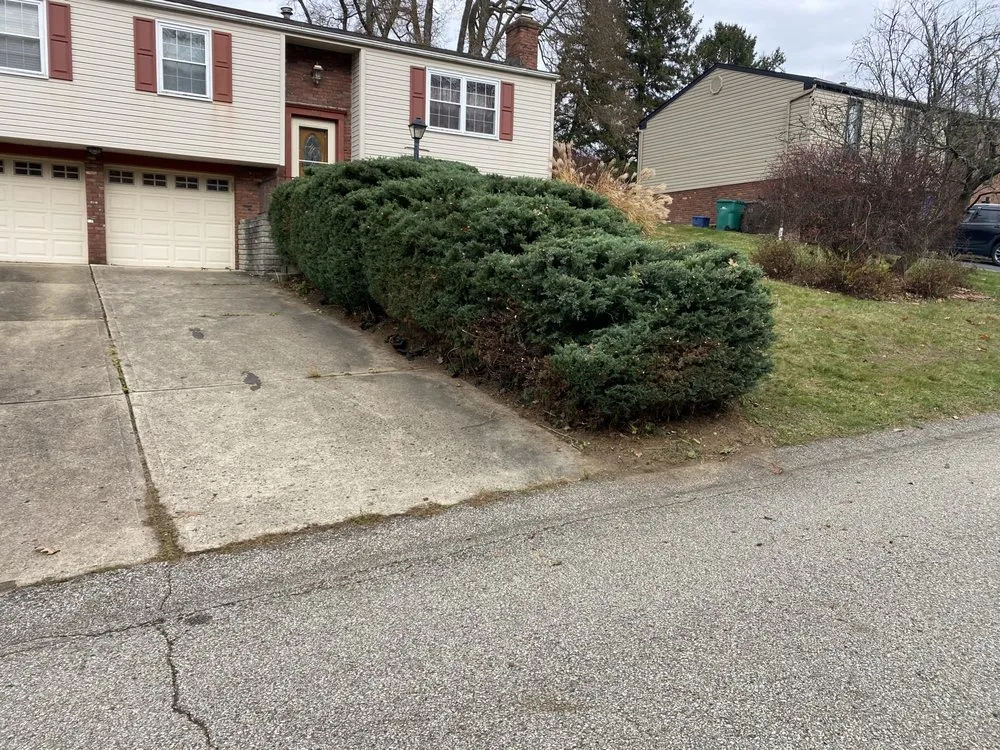 Top-rated landscaping services in Ambridge, PA by Rivertown LCS