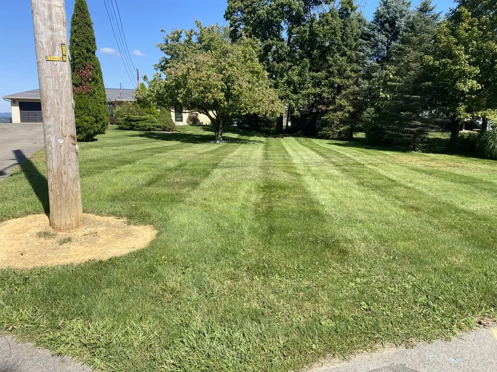 Top-rated lawn mowing service in Ambridge, PA - Rivertown LCS