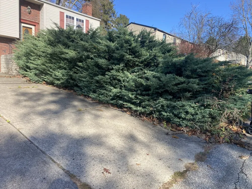 Local landscape installation in Ambridge, PA by Rivertown LCS