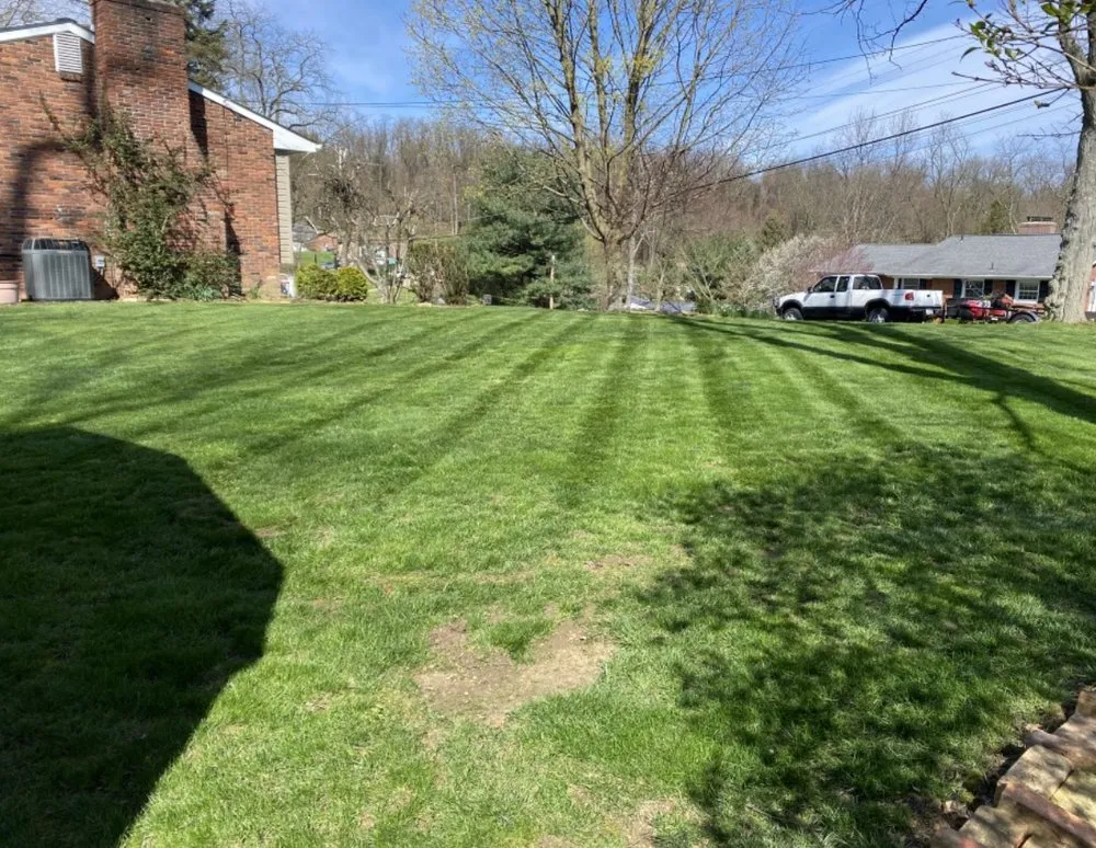 Affordable landscape design in Ambridge, PA - Rivertown LCS