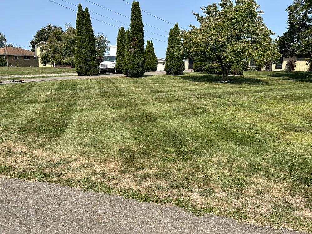 Affordable yard maintenance experts serving Ambridge, PA - Rivertown LCS