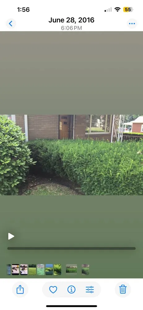 Trusted landscape design in Ambridge, PA by Rivertown LCS