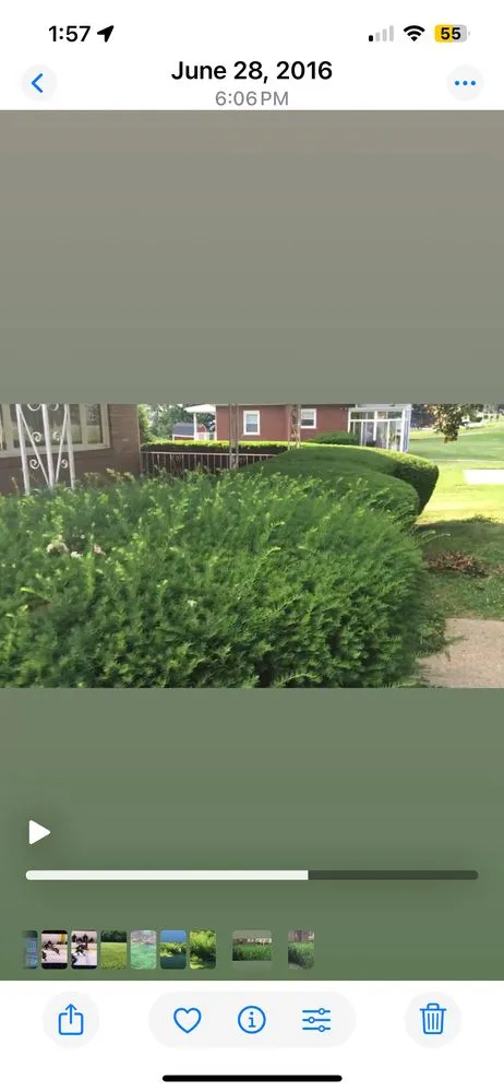 Reliable yard cleanup service for year-round maintenance in Ambridge, PA by Rivertown LCS