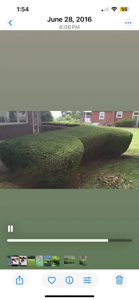 Top-rated garden landscaping near you in Ambridge, PA by Rivertown LCS