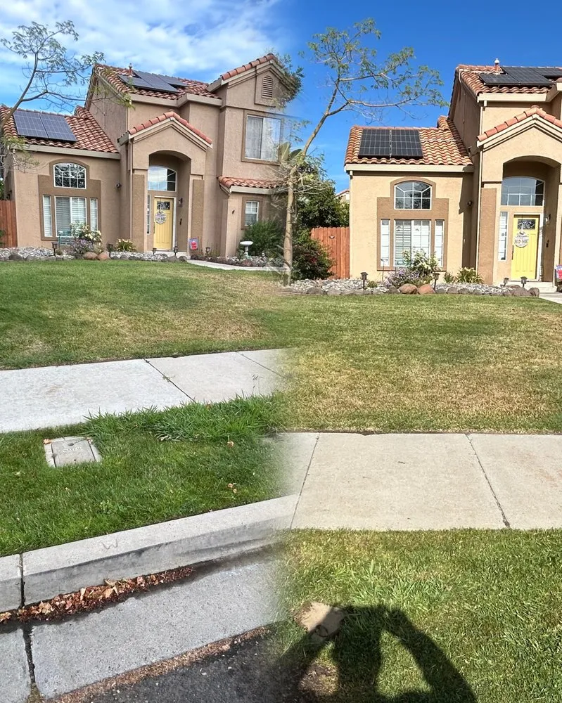 Expert yard cleanup service experts serving Antioch, CA - Rivertown Solutions