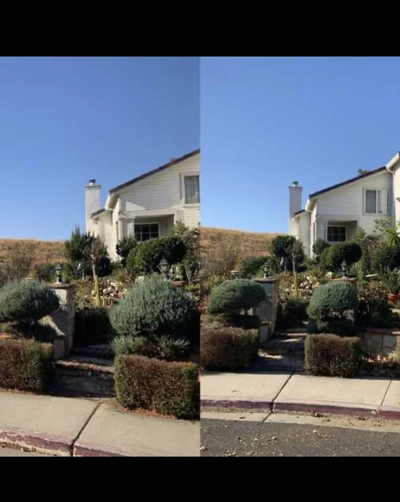 Expert landscaping services experts serving Antioch, CA - Rivertown Solutions