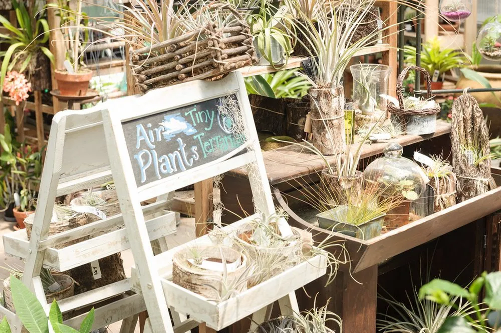 Professional garden landscaping experts serving Temple, PA - Riverview Gardens & Gifts