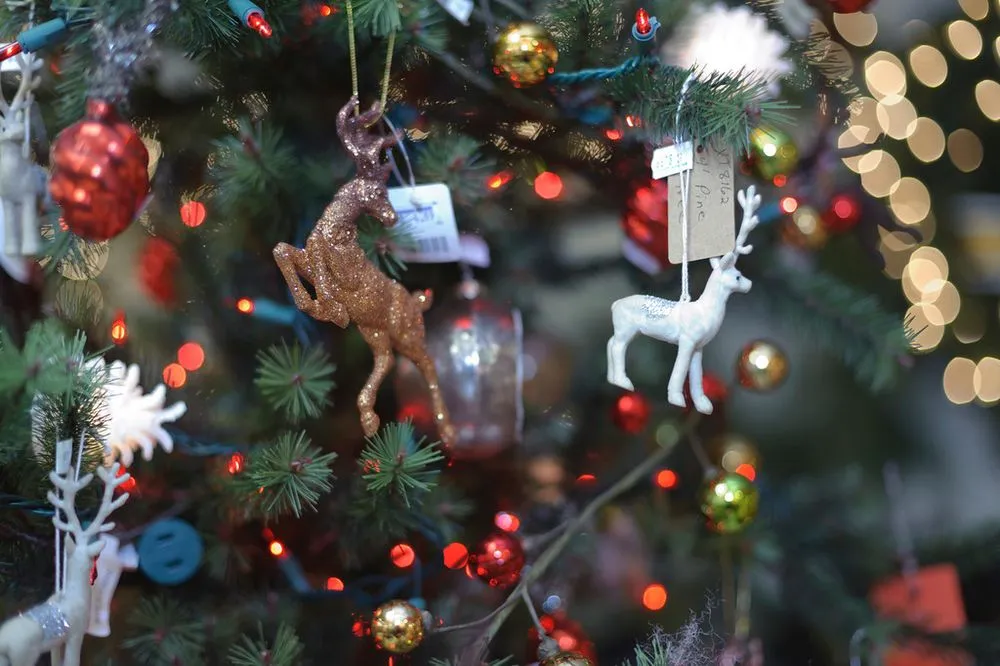 Affordable landscaping services for beautiful yards in Temple, PA by Riverview Gardens & Gifts