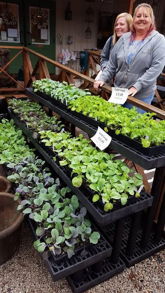 Affordable outdoor landscaping in Temple, PA - Riverview Gardens & Gifts