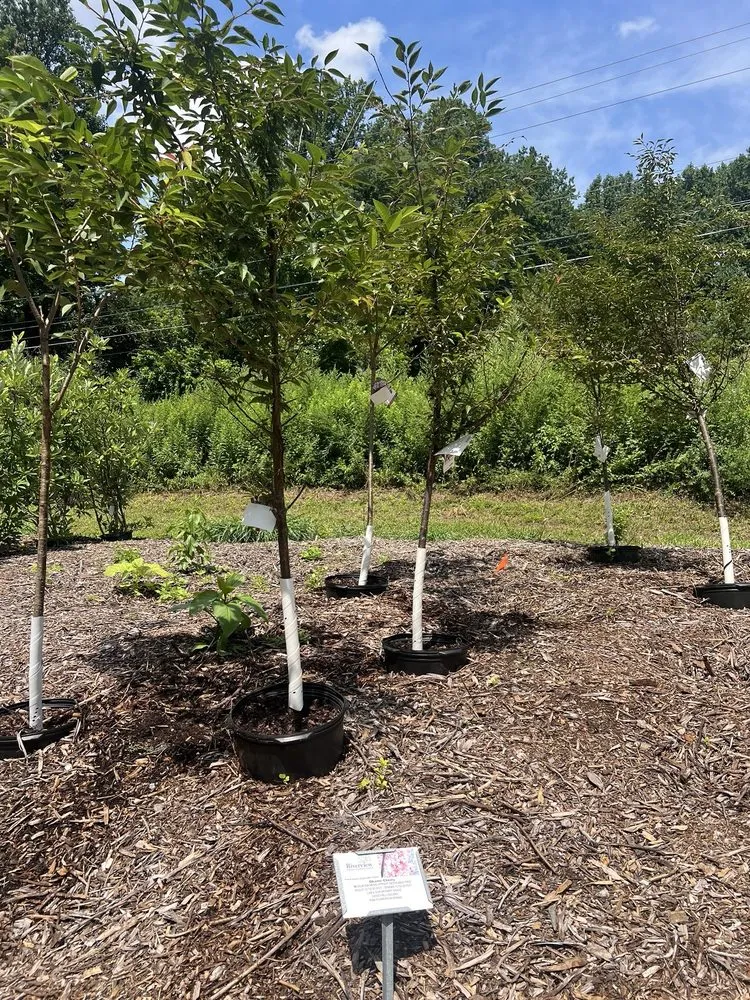 Top-rated garden landscaping in Temple, PA - Riverview Gardens & Gifts