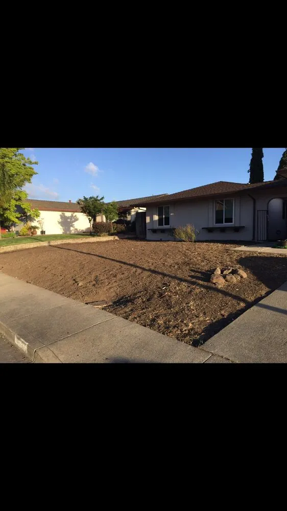 Local yard maintenance experts serving Bay Point, CA - Riverview Landscaping
