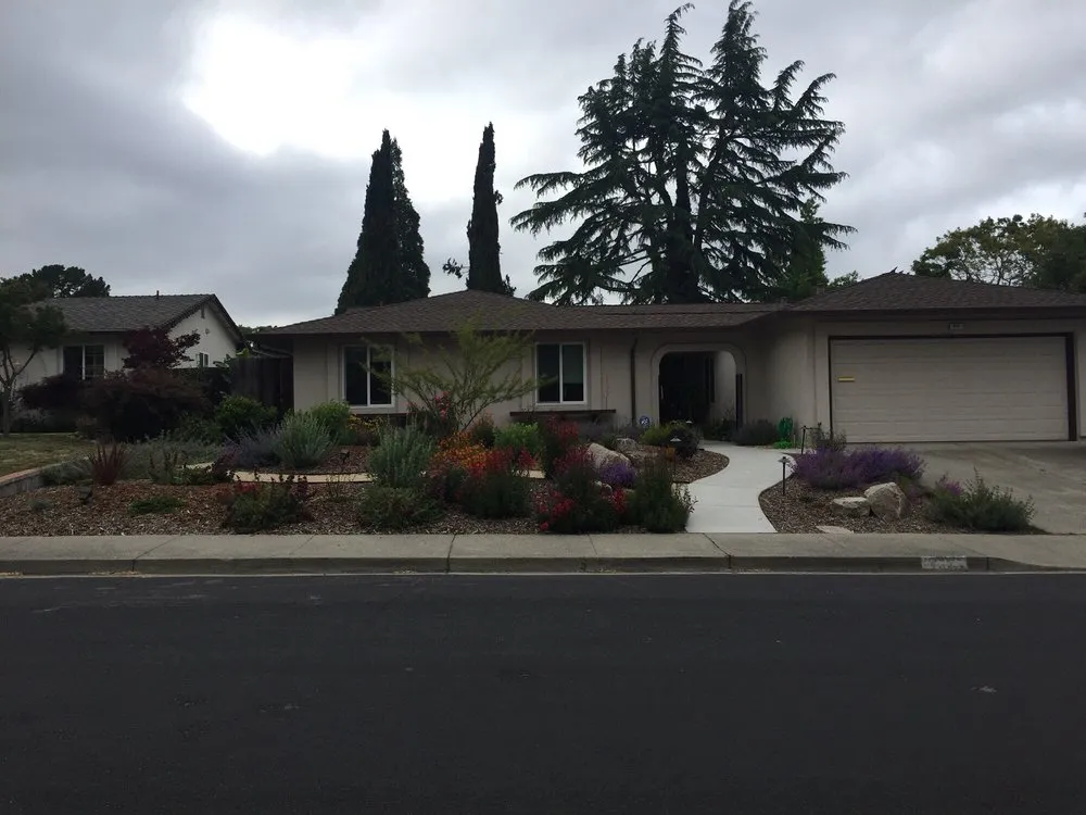 Top-rated lawn care service experts serving Bay Point, CA - Riverview Landscaping