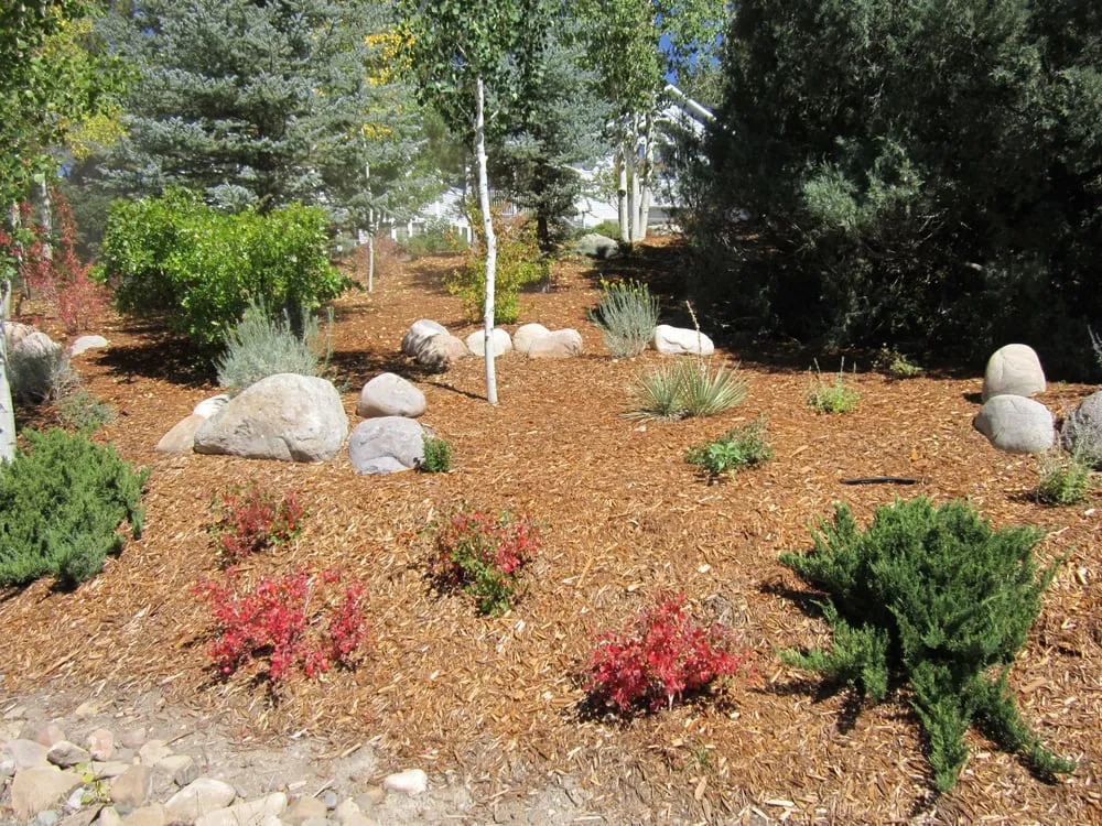 Trusted landscaping services in Durango, CO - Riverview Landscaping