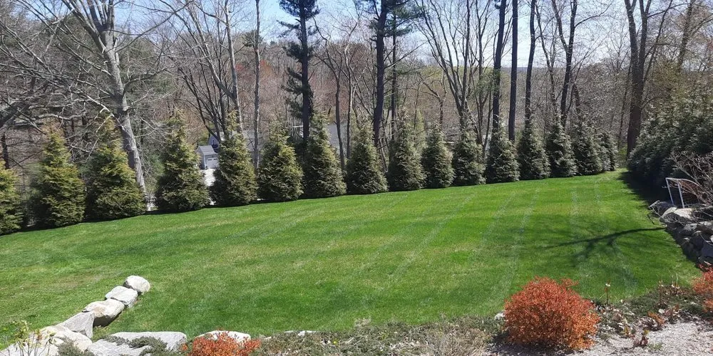 Professional landscape design in Old Saybrook, CT by Riverview Landscaping