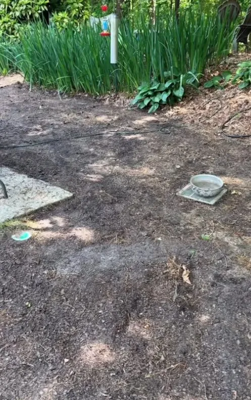 Trusted landscape installation experts serving Dacula, GA - RiverView Property Maintenance