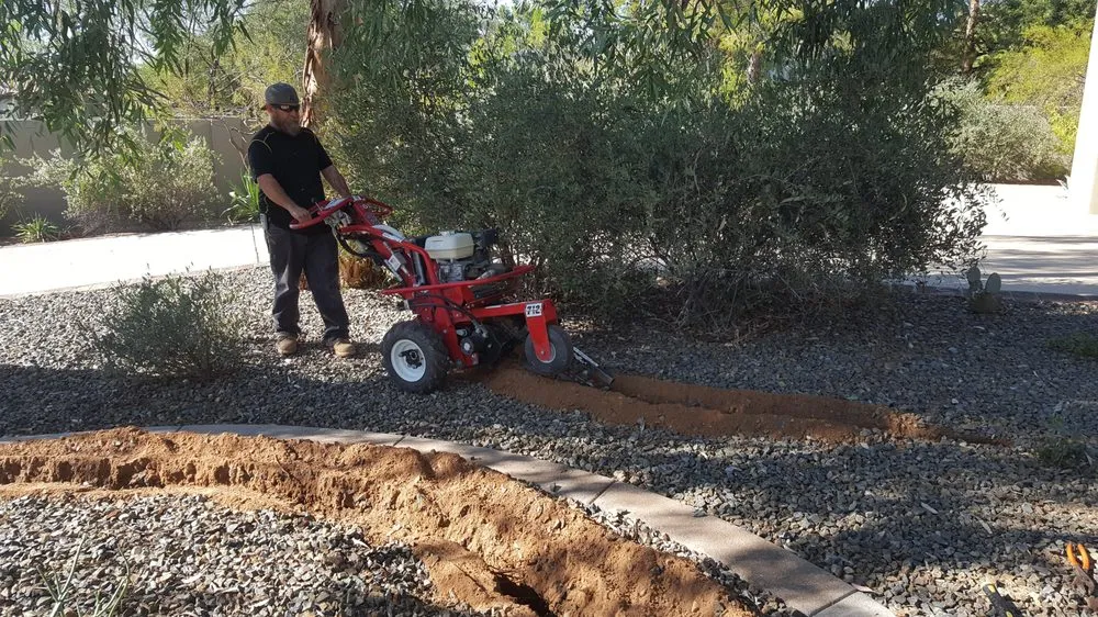 Local landscape design experts serving Mesa, AZ - Riverview Property Services