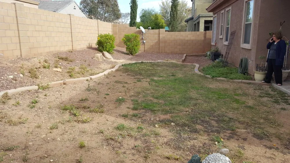 Top-rated landscape installation for outdoor upgrades in Mesa, AZ by Riverview Property Services