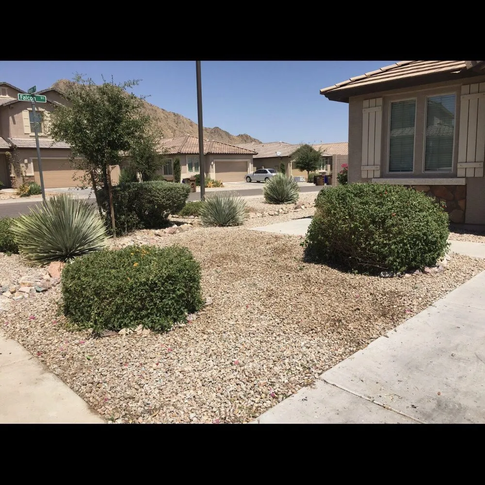 Trusted garden landscaping for beautiful yards across Mesa, AZ - Riverview Property Services