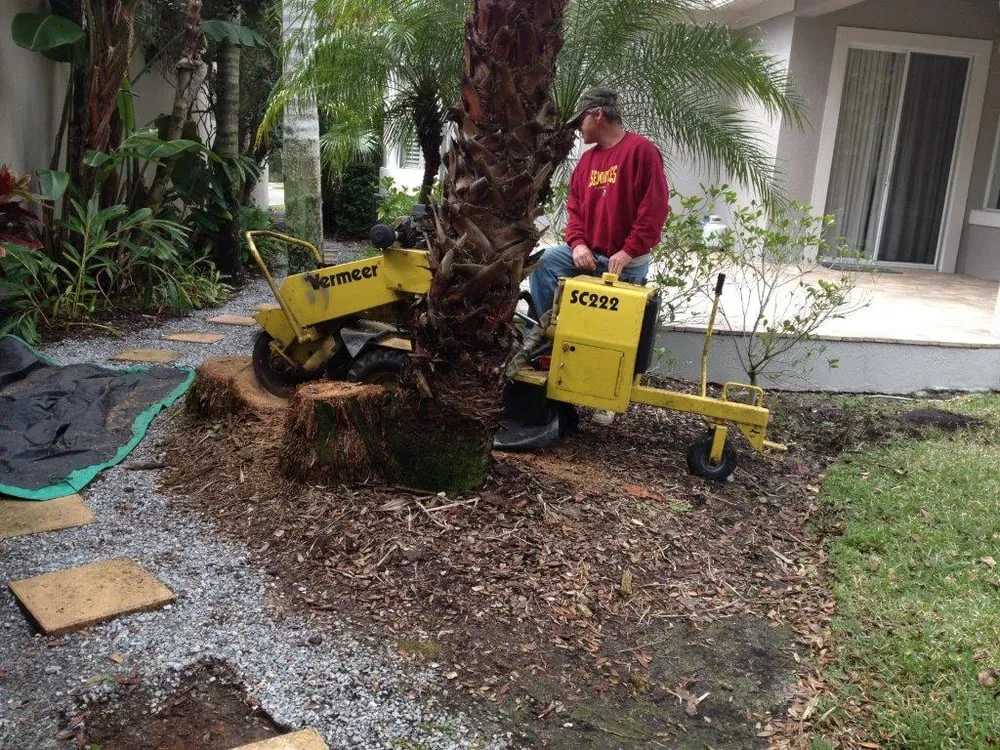 Expert outdoor landscaping for homes in Temple Terrace, FL by Riverview Tree Service