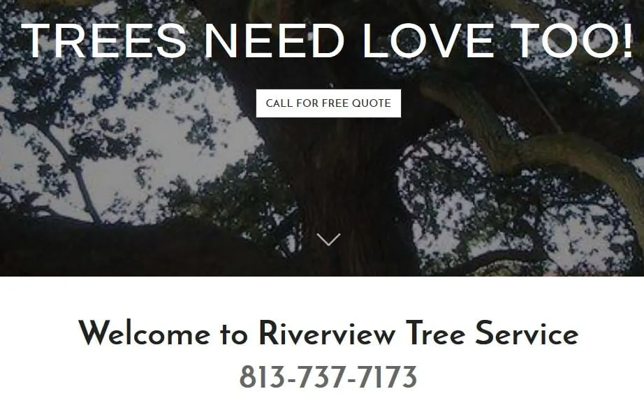 Affordable landscaping services in Temple Terrace, FL - Riverview Tree Service