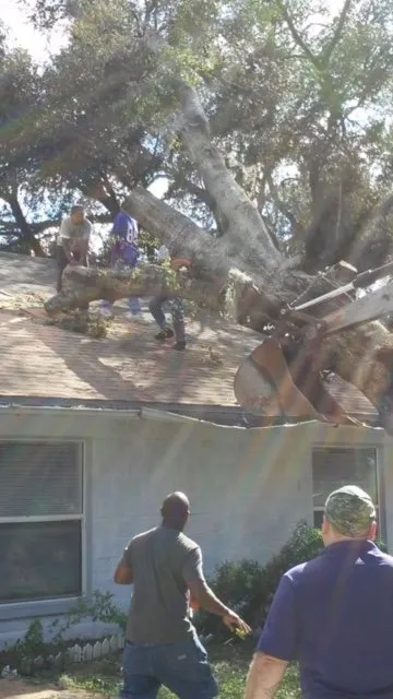 Reliable outdoor landscaping experts serving Temple Terrace, FL - Riverview Tree Service