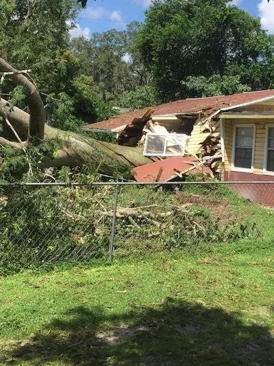 Trusted yard maintenance experts serving Temple Terrace, FL - Riverview Tree Service